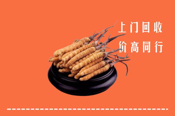 宜春冬虫夏草回收多少钱每克