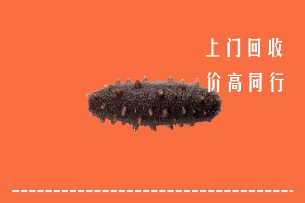 宜春高价回收海参